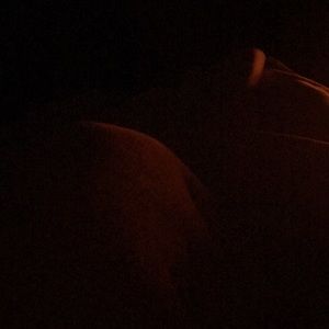 Meet your Posher, Shadia